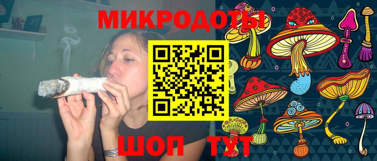 Элиста  Псилоцибиновые грибы Cubensis  Вход с VPN 