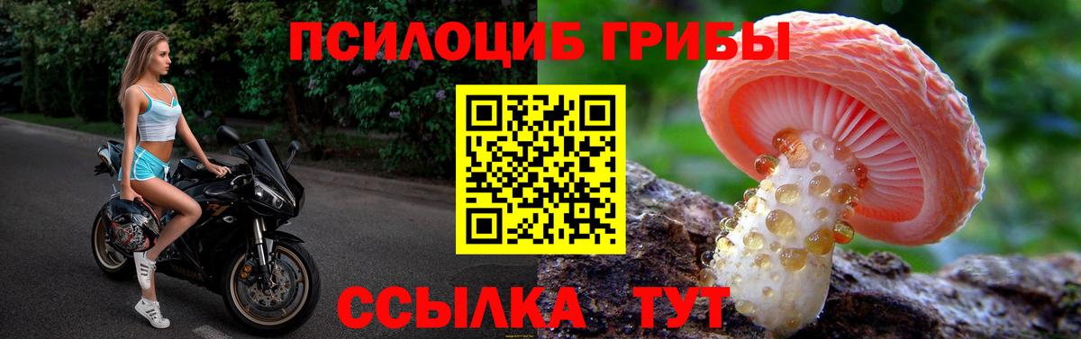 Псилоцибиновые грибы Magic Shrooms Элиста
